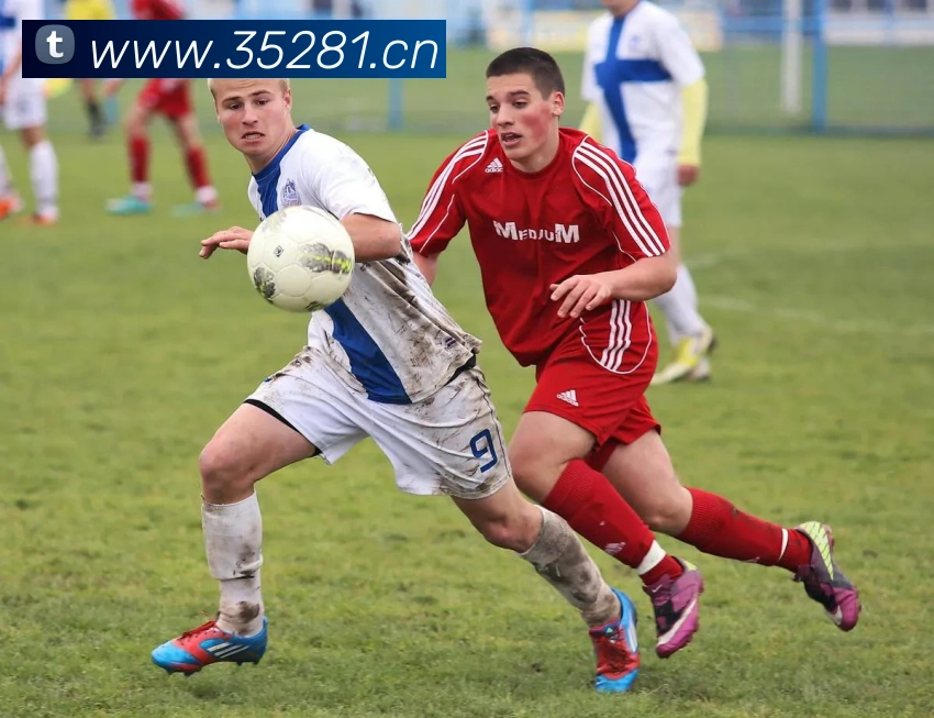 易倍emc官方平台生态图